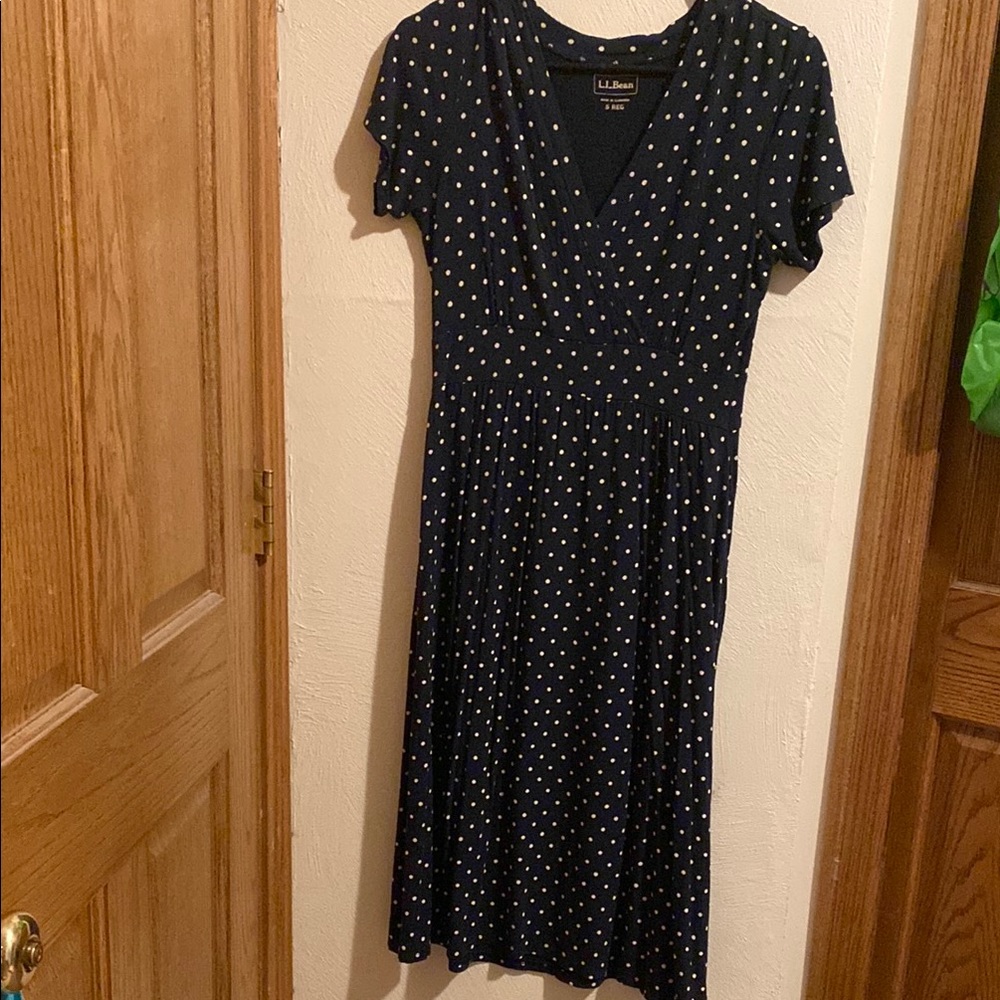 L.L. Bean Women's Navy Polka Dot Dress